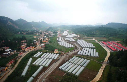 山海相連共筑夢——大連產業助力六盤水脫貧攻堅紀實